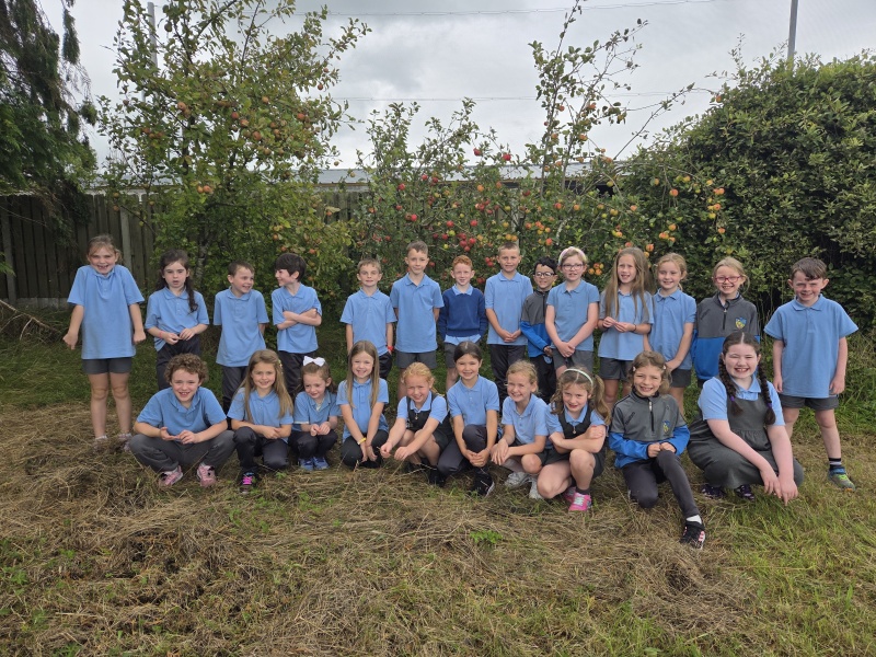 1st & 2nd Class